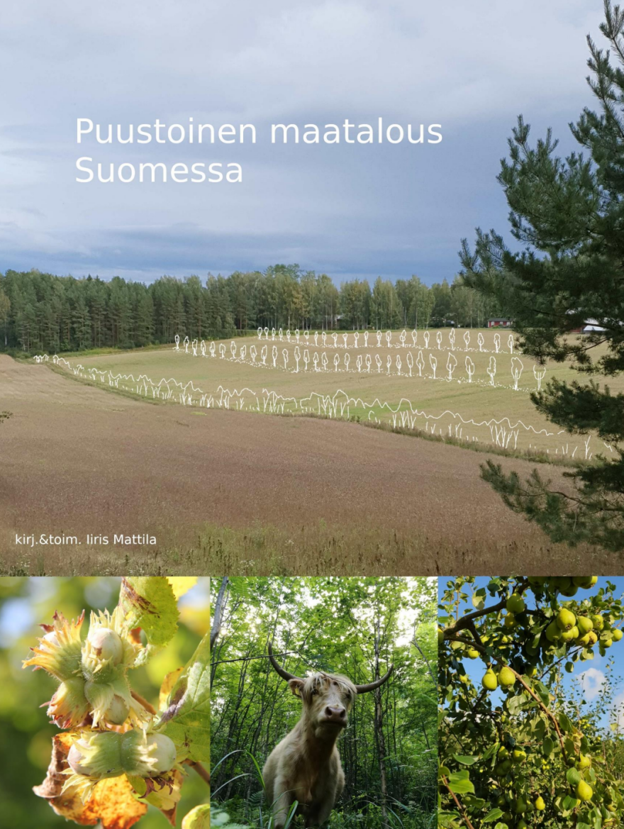 Nimetön