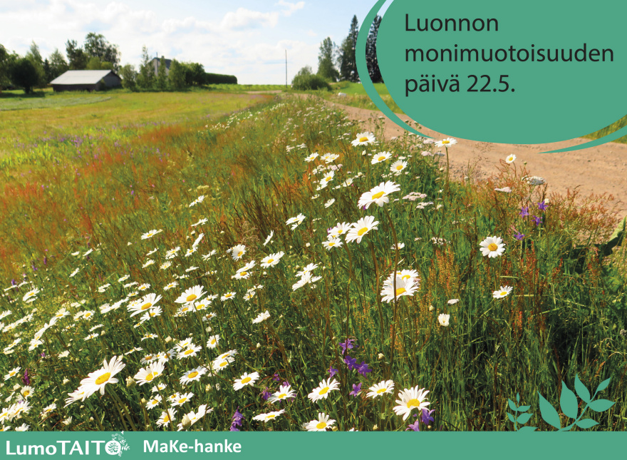 Lumopäivä 22.5.-12