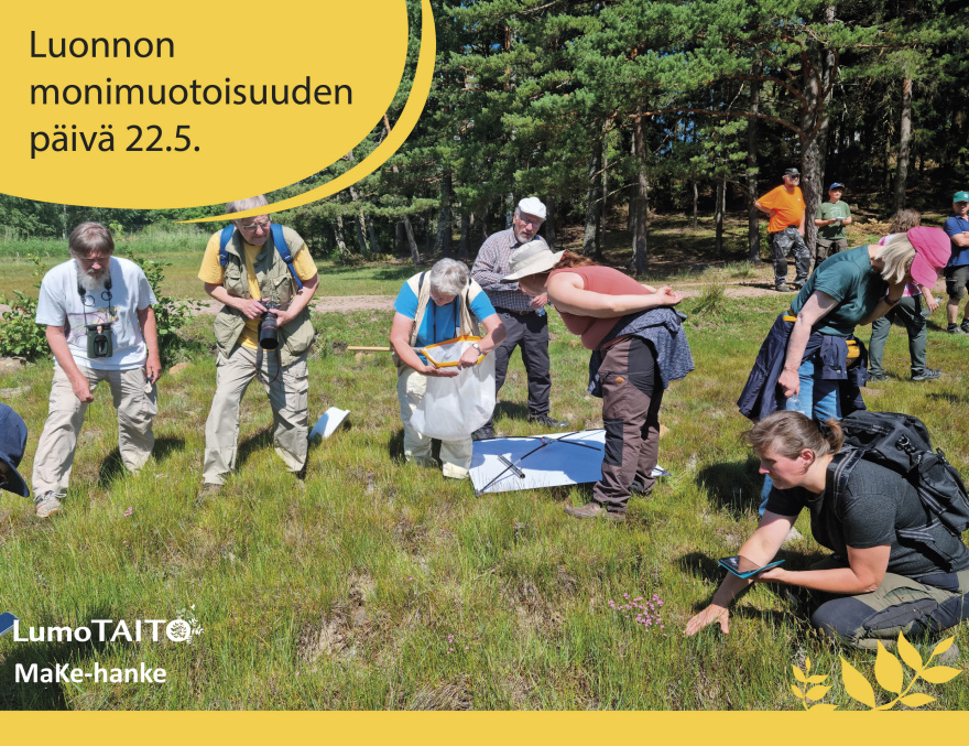 Lumopäivä 22.5.-10