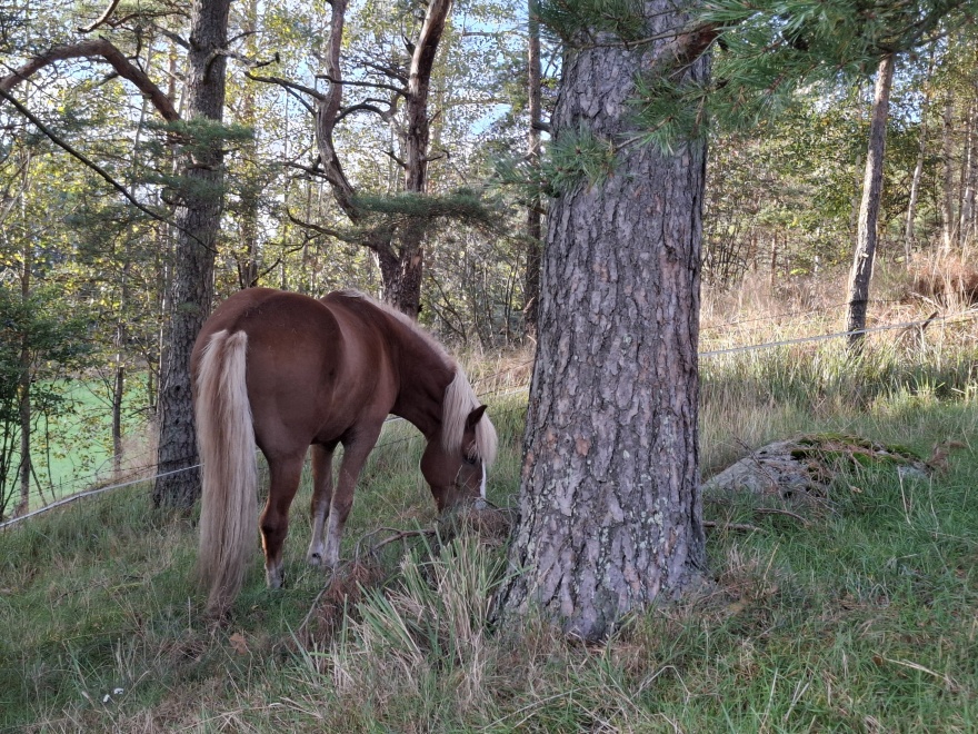 20250923 173913 20250923 173913